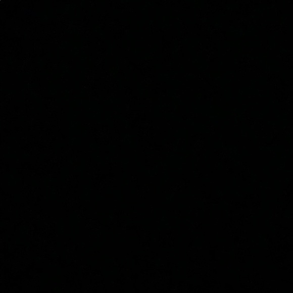 Meet your Posher, Lisa - Picture 1 of 1